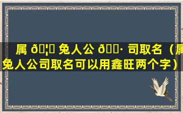 属 🦁 兔人公 🌷 司取名（属兔人公司取名可以用鑫旺两个字）